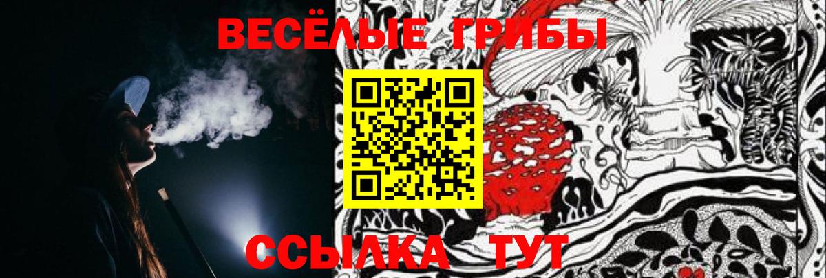 Псилоцибиновые грибы мицелий Орёл
